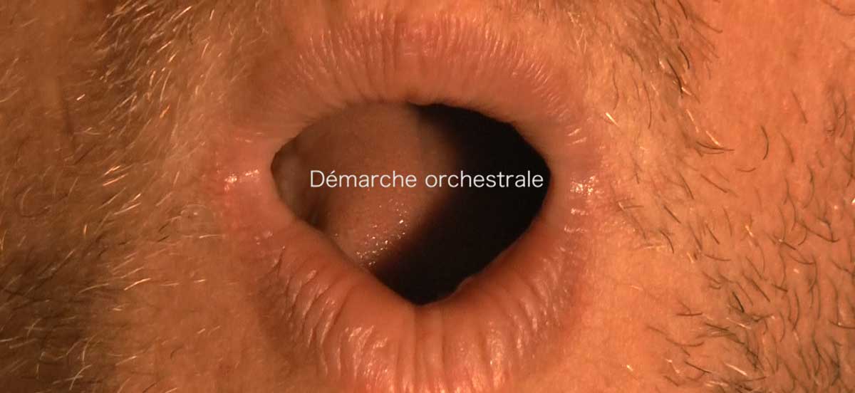 Démarche Orchestrale