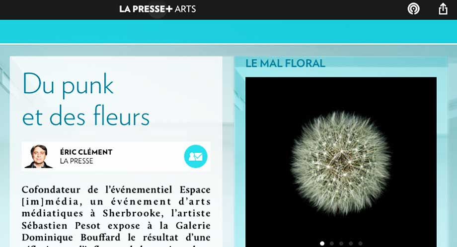 La Presse + Punk and flowers